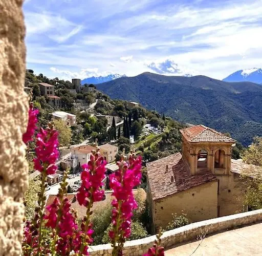 2 A Avec Piscine 公寓 *