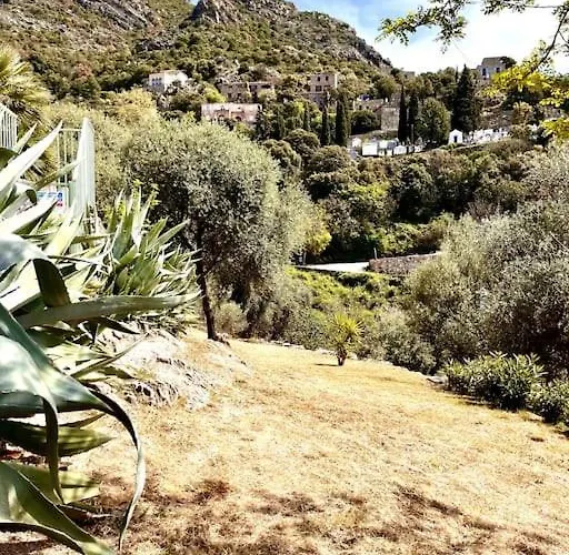 公寓 2 A Avec Piscine *