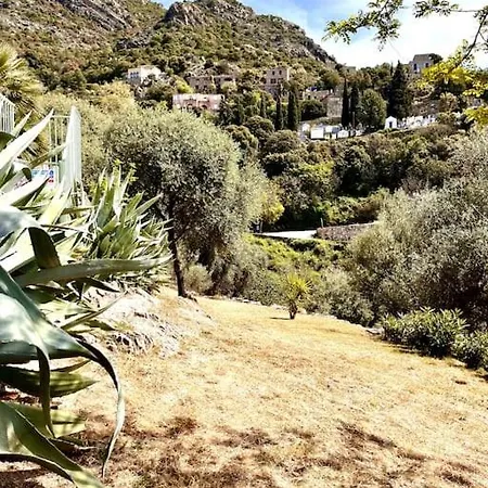 Апартаменты 2 A Avec Piscine *